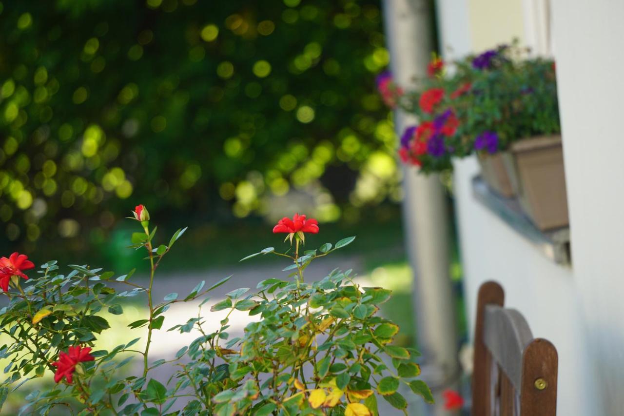 Pension Zum Birnbaum Βραδεμβούργο Εξωτερικό φωτογραφία